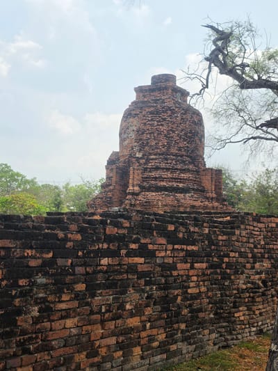 An outdoor scene captures ancient brick ruins amidst natural elements under a bright, partly cloudy sky in Phra Nakhon Si Ayutthaya, Thailand.
The image prominently features weathered brick structures. On the right side, a tall, textured wall or base of a structure, composed of dark red-orange and blackened bricks, fills the foreground. The bricks show significant age, wear, and dark staining, with visible mortar lines. To its left and slightly further back, a large, rounded brick stupa or chedi rises, exhibiting similar characteristics of dark red-orange bricks and weathering, with tiered or segmented sections visible.
Behind these main brick edifices, lush green foliage from trees is visible, suggesting a natural and perhaps overgrown environment. In the upper left quadrant of the frame, the intricate, gnarled branches of a large, ancient tree, mostly bare of leaves, stretch across the sky, silhouetted against the light blue sky and scattered white clouds. A patch of dry, yellowish-brown grass or earth can be seen in the lower right corner, adjacent to the brick structure.
No people or activities are depicted, giving the scene a serene and timeless quality. There is no visible text. The time of day appears to be daytime, with ample natural light indicating either morning or afternoon. The overall impression is one of historical significance and the enduring beauty of ancient architecture.