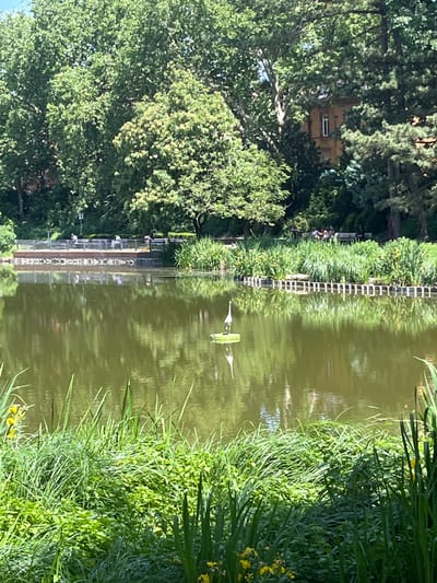 The image depicts a park lake in Landau in der Pfalz, Germany. The murky green water is bordered on one side by lush vegetation and tall grasses, some with yellow flowers. Across the lake, a row of metal railing separates the water from trees and a building that is partially obscured by trees. A group of people are seen sitting on a bench near the water's edge. Two white bird sculptures or decoys float in the middle of the lake, and the reflection of the trees and sky is visible in the water's surface.