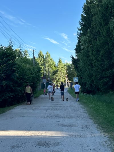 The image shows a group of people walking along a gravel path lined by trees and grass. The sun is shining brightly, suggesting it is a warm, clear day. The sky is blue with a few wispy clouds. Power lines are visible in the background, strung between poles and disappearing into the trees. The path appears to be a recreational trail, possibly in a park or rural area.
There are at least six people visible, all walking in the same direction. One person in the foreground wears a yellow shirt and dark pants, while another further up the path is dressed in a white t-shirt and dark shorts. Others are wearing casual clothing suitable for an outdoor stroll. The people appear to be engaged in a leisurely activity, such as a walk or hike.
A small, blue and white sign with triangular symbols is visible on a post near the middle of the path. There are no other discernible objects or text in the image that provide further clues about the specific location or event. The overall atmosphere of the image is peaceful and serene, indicative of a pleasant day outdoors. The natural lighting suggests it is daytime, likely late morning or early afternoon.