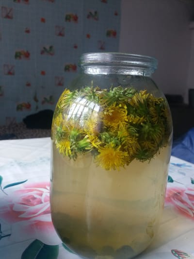 A glass jar filled with liquid and dandelion flowers rests on a patterned tablecloth. The liquid appears slightly cloudy. The tablecloth has a floral pattern with pink roses and other floral elements on a light background. The jar has a wide opening with ridges. The dandelions fill the jar, with both yellow flower petals and green stems visible. The background includes a wall with a subtle floral pattern. The scene appears to be indoors. Location cannot be determined with the given information.