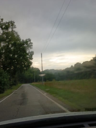 The image depicts a blurry, overexposed view of a rural road winding through a wooded area under a cloudy sky. The perspective is from inside a vehicle, with the dashboard visible in the foreground. Lush green trees line the left side of the road, with a field of dry grass on the right. A utility pole and what appears to be a road sign are visible in the distance, along with power lines stretching across the sky. The lighting suggests it is either dawn or dusk, or a heavily overcast day. The road itself is asphalt with a white line marking the edge on the left. There are no people or animals visible in the scene. The overall impression is one of a quiet, isolated natural setting.