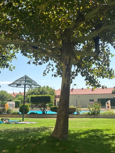 The image depicts a sunlit outdoor scene, likely in the city of Villa Del Prado, Spain, focusing on a grassy area with a swimming pool in the background. A large tree with mottled bark dominates the foreground, its branches covered in green leaves, casting dappled shadows on the lawn. Scattered on the grass are several towels and bags, suggesting a recreational setting. To the left, a straw umbrella stands over an area near the pool. The swimming pool itself is a vibrant blue, bordered by a low wall. Beyond the pool, residential buildings with terracotta roofs are visible, interspersed with trees and manicured bushes. In the far right of the image, a person in a swimsuit is standing near the pool, partially obscured by a white structure. The sky is clear blue with a few wispy clouds.