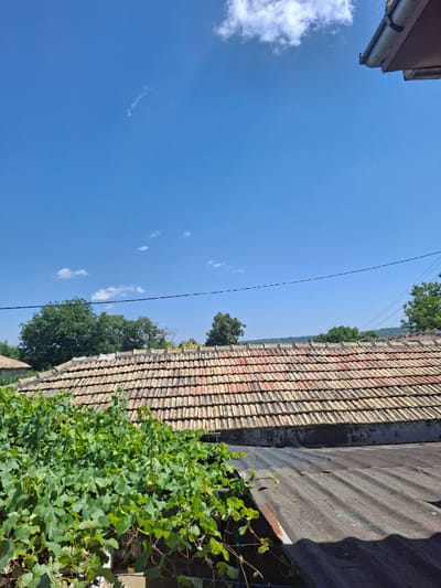 This media file depicts a close-up view of a rooftop with terracotta tiles under a bright blue sky. A section of a dark, possibly corrugated metal roof is visible to the right, casting a shadow. Lush green vines with broad leaves are growing along the edge of the roof and extend into the frame, suggesting a garden or natural growth.

The sky is mostly clear with a few scattered white clouds. A thin black wire traverses the sky from the left edge of the frame towards the middle, possibly a power line or telephone wire. The overall impression is of a sunny day, likely in the late morning or early afternoon, given the bright illumination and the clear sky.

The scene appears to be in a rural or semi-rural setting, with evidence of buildings and natural vegetation. The tiled roof suggests older construction. While the exact location isn't explicitly visible, the presence of these elements, combined with the provided location context of Kovachevets, Bulgaria, places the scene in that region. There is no visible text in the image. No people or specific activities are depicted. The focus is on the architectural elements of the roof, the surrounding greenery, and the sky.
