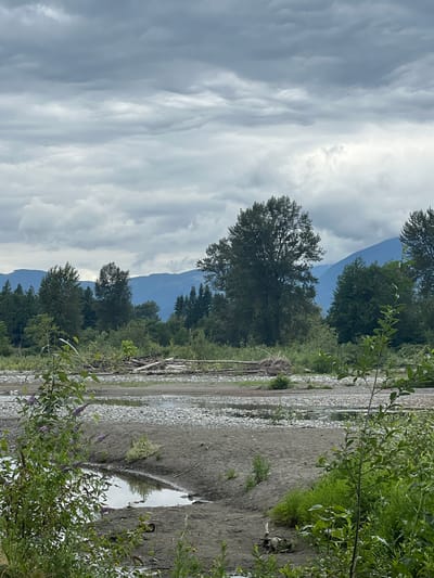A wide, scenic view of a riverbed with mountains in the background and lush greenery in the foreground. The sky is overcast with thick, grey clouds. In the middle ground, a wide riverbed is filled with grey and white stones, with a shallow stream of water running through it. Scattered on the riverbed are several fallen logs and branches. Beyond the riverbed, a dense forest of green trees stretches towards the mountains, which are a muted blue in the distance. In the foreground, the sandy bank of the river is visible, with small puddles of water and green foliage. The image appears to be taken in Chilliwack, Canada, likely in a natural park or recreational area along a river, such as those found near the Fraser River or its tributaries.