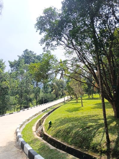 A paved road curves through a green, grassy landscape dotted with trees. A black and white curb lines the road's edge, while a drainage ditch runs alongside the grass. Sunlight filters through the lush foliage, creating dappled shadows on the ground. The scene is peaceful and natural, showcasing a well-maintained park or garden setting.