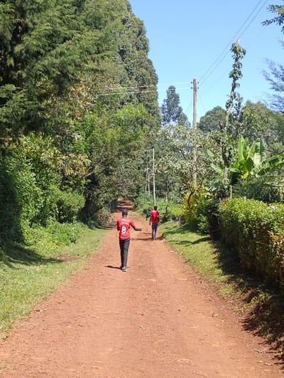 This full-shot image depicts a sunlit, rural dirt road winding through lush vegetation in Kaplelwo, Kenya. Two men are walking away from the camera down the center of the reddish-brown path.
The man in the foreground is wearing a red t-shirt, dark trousers, and light-colored shoes. The back of his shirt clearly displays "ALEXANDROU" and the number "8" in white text. He is carrying a flat, circular object, possibly a basket or tray, balanced on his head. Further down the road, the second man, also dressed in a red shirt and dark pants, follows the same path.
The road is unpaved, with tire tracks visible in the dirt, and is bordered by dense, vibrant green foliage on both sides. Tall, leafy trees form a natural canopy, creating areas of shade and sunlight on the path. On the right, a well-maintained green hedge runs alongside the road, while on the left, wilder vegetation grows. Utility poles with overhead power lines are visible against the clear blue sky, extending into the distance on the right side of the image. Hints of banana plants or similar large-leafed trees are also visible among the dense greenery.
The time of day appears to be midday or early afternoon, characterized by bright sunlight casting distinct shadows and a clear, cloudless blue sky. The scene conveys a sense of peaceful daily life in a verdant, rural setting.