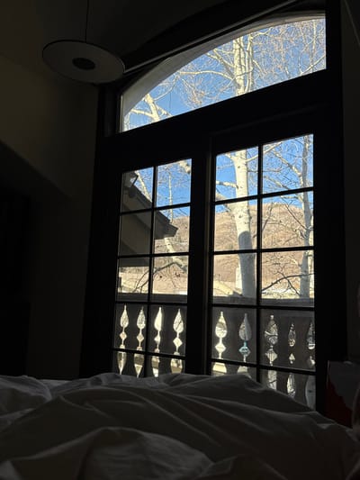 View from indoors, gazing upward through multiple windows. One window is circular, the others are rectangular grids. Outside, tree branches reach towards a blue sky. Adjacent to the grid windows, a decorative panel features symmetrical, stylized designs. A white object, perhaps bedding, occupies the right side of the frame. A circular light fixture hangs to the left. Shadows dominate the lower portion of the image.