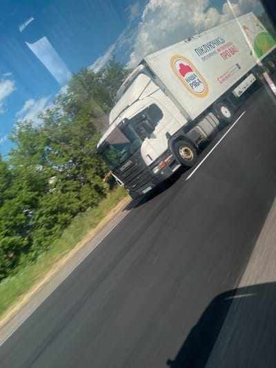 This is a horizontal, slightly tilted, eye-level shot of a white refrigerated truck driving on a paved road. The truck is branded with text in Ukrainian and a logo that says "НАША РЯБА" (Nasha Ryaba), which translates to "Our Ryaba" and appears to be a brand of chicken or poultry products. The text on the truck reads, "ПІКЛУЮЧИСЬ ПРО КУРОЧКУ, МИ ПІКЛУЄМОСЬ ПРО ВАС" (Pikluyuchys pro kurochku, my pikluyemos pro vas), meaning "Taking care of the chicken, we take care of you." There is also a phone number visible: "0800500001." The truck has "SCANIA" written on the back of its cab.

The truck is traveling on a multi-lane asphalt road with a white dividing line. To the right of the road, there is a grassy verge. On the left side of the road, there are trees and a bright blue sky with scattered white clouds, suggesting it is daytime with clear weather. Reflections in the truck's windows show the sky and trees, indicating a sunny day. The scene appears to be a rural or suburban setting, possibly on a highway in Ukraine, given the context of Yelyzavetivka. The truck is in motion, as suggested by the slight blur in the background and the wheels. The overall impression is one of a commercial delivery vehicle on its route.
