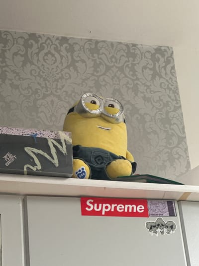 A plush yellow Minion toy with goggles and blue denim overalls is sitting on a white shelf. To the left of the Minion is a grey box with a blue graphic design and the text "WE THE BEST" printed on it. A white and grey patterned wallpaper is visible on the wall behind the shelf. On the shelf below, a red and white "Supreme" sticker is affixed to a white surface, along with a purple sticker displaying a map and text, and a sticker with three dripping skull illustrations. The scene appears to be indoors, possibly in a residential setting, but no specific location in Hamm, Germany can be determined from the visual information provided.