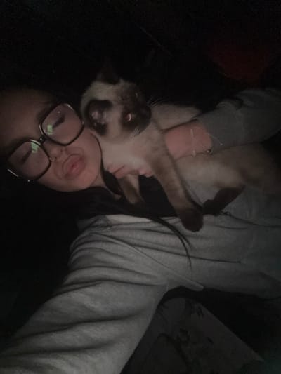 A person wearing eyeglasses is lying down and holding a Siamese cat. The person is wearing a gray hooded sweatshirt and the cat is lying on their chest. The cat is tan and brown with blue eyes. The lighting is dim. There is a dark object behind the person's head and a light-colored object to the right.