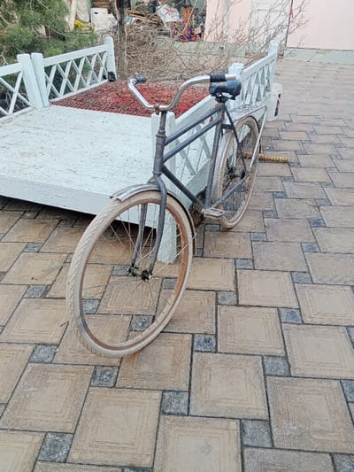 A vintage bicycle is parked on a paved patio next to a white, wooden daybed with a red carpet on top. The bike is dark colored with chrome fenders and handlebars. The patio is composed of square paving stones with a patterned border. In the background, there is a mix of vegetation and some distant objects.