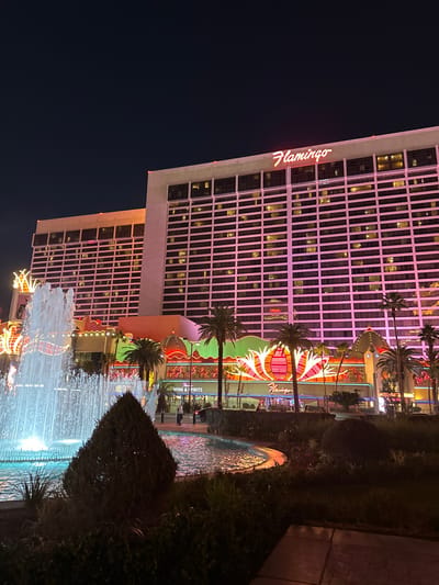 The Flamingo Hotel in Las Vegas is captured at night, its tall tower illuminated with a pink glow and the "Flamingo" sign shining brightly. Below, a vibrant fountain display complements the hotel's neon signage, creating a spectacle of light and water. Palm trees add a touch of tropical flair to the scene, while greenery surrounds the fountain, softening the urban landscape.