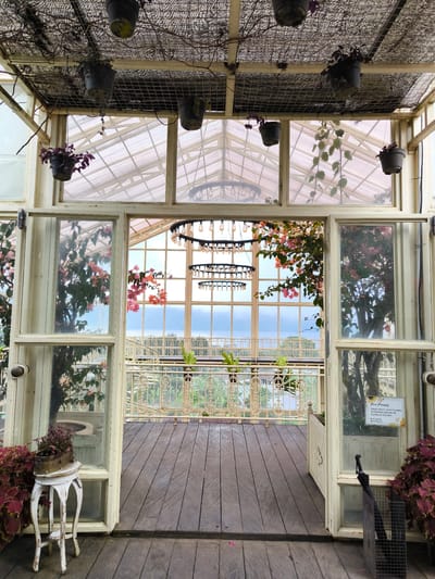 The image depicts the interior of a greenhouse-like structure in Candikuning, Indonesia. The structure is characterized by large, white-framed windows and a transparent roof, allowing natural light to illuminate the space. Hanging potted plants are suspended from the ceiling. The floor is made of dark wooden planks. An open doorway leads to an outdoor balcony with an ornate white railing, overlooking a landscape with green foliage and a body of water in the distance. A three-tiered chandelier hangs in the center of the room. Floral arrangements and plants are visible both inside the greenhouse and outside on the balcony. A small white table with a potted plant sits to the left of the doorway. A black umbrella rests against a window pane with a sign posted on it.