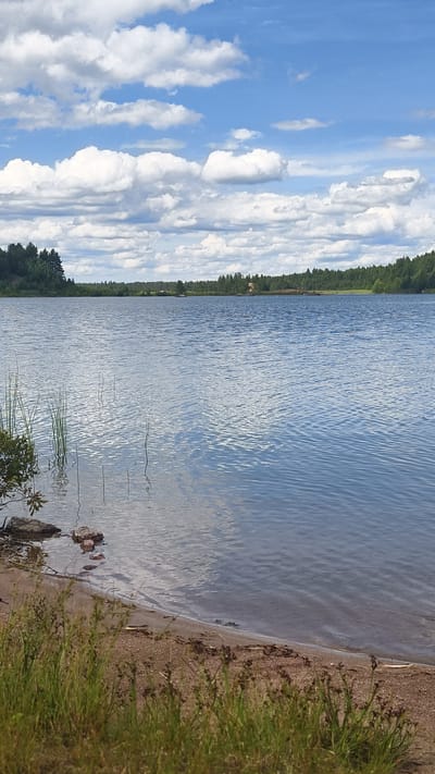 The image depicts a serene lakeside scene on a partly cloudy day. In the foreground, a sandy shore is visible with green grass and reeds growing along the edge. The lake's surface is calm with gentle ripples, reflecting the blue sky and white clouds. The far shore is lined with a dense forest of green trees, and a few buildings are scattered within the treeline, suggesting a rural or semi-rural setting. The sky is a vibrant blue with scattered white cumulus clouds. The overall impression is one of tranquility and natural beauty. The location is identified as Gavrilovo, Russia.