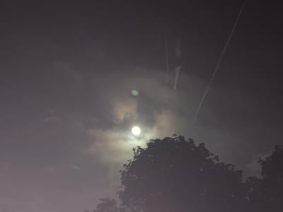 The image displays a serene nighttime sky, illuminated by a prominent, bright moon. The moon, appearing as a luminous white disc, is positioned slightly above the center of the frame. Its light penetrates through a layer of diffuse, hazy clouds, creating a soft glow and a subtle halo effect around the lunar orb.
Beneath the moon, partially obscuring the lower-central and lower-right portions of the frame, is the dark silhouette of a dense tree canopy. The individual leaves and branches are largely indistinguishable against the muted backdrop, emphasizing the overall shape of the foliage.
The dark sky, indicative of night, also features several long, thin white lines in the upper right, which are characteristic of airplane contrails or vapor trails. A distinct, circular green light flare or artifact is visible in the upper-central area, slightly to the left of the moon, possibly a lens aberration. The overall atmospheric conditions appear cloudy or misty.
No people or visible text are present in the image. The scene conveys a tranquil, nocturnal ambiance. The provided location context for the image is Vlado Trichkov, Bulgaria.