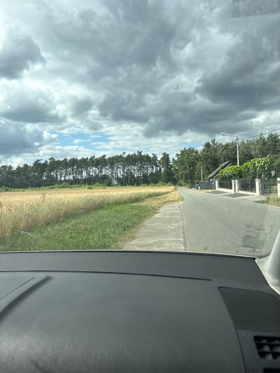 The image depicts a view from inside a vehicle looking out at a rural road. To the left of the road, there is a field of golden wheat and green grass. Beyond the field, a dense line of tall pine trees forms a treeline against a cloudy sky. To the right of the road, there are houses with fences and trees. The road itself is paved and appears to be a two-lane road. The sky is filled with dramatic, dark grey clouds, with some patches of blue sky visible. The foreground shows the interior of the vehicle, including the dashboard. The scene is likely located in the countryside of Mikorzyn, Poland, given the description of the landscape.