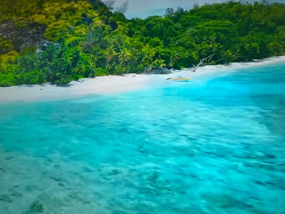 The image depicts a tropical beach scene. Lush green vegetation covers the land, transitioning to a white sandy beach. Turquoise water extends from the beach into the foreground. A yellow kayak rests on the sand near the shoreline. No people are visible. The location is not within Basingstoke and Deane, United Kingdom.