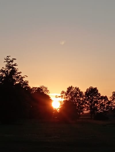 A sunset over a field in Sztynort, Poland, casts a warm glow across the sky. Silhouetted trees frame the horizon, with the sun's rays breaking through their branches. The foreground is a dark, grassy field, suggesting it is evening. There are no people or animals visible in the scene.
