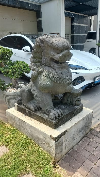 A weathered grey stone Foo dog (Chinese guardian lion) statue is centrally positioned in an outdoor daytime scene, resting on a two-tiered concrete pedestal. The statue features elaborate carvings on its head, mane, and body. To its left, a small tree or bonsai grows in a ribbed grey pot filled with white pebbles. The ground immediately surrounding the pedestal consists of green grass on the left and reddish-brown paver blocks on the right. In the mid-ground, a white Mercedes-Benz sedan is parked behind the statue, displaying a partial Indonesian license plate beginning with "B 6", indicating registration in the Special Capital Region of Jakarta, Indonesia. A second white vehicle, possibly a minivan, is partially visible further back on the right. The background features modern architectural elements, including large light-colored walls, dark accent panels, and an overhead slatted structure, suggesting a private residence or commercial entrance. No people are present.