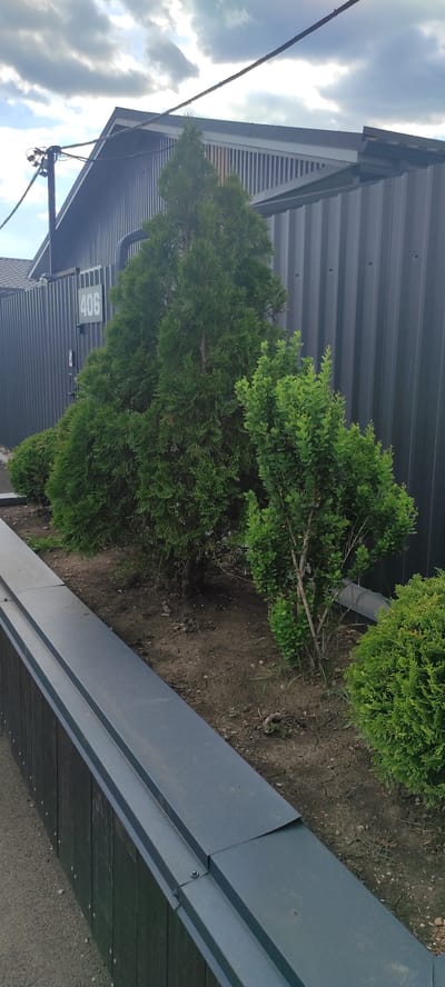The image depicts an outdoor scene adjacent to a modern building. The building features dark gray corrugated metal siding and a sloped roof with visible horizontal supports. In front of the building, a planter box contains several green bushes, including what appears to be a row of coniferous trees. The ground in the planter is dry and cracked.
To the left of the building, a portion of the sky is visible, with bright white clouds against a bluish hue, suggesting daylight. Power lines and electrical fixtures are also visible against the sky, connected to a pole extending from the building's side.
A notable detail is the house number "406" displayed in light gray numerals on a dark rectangular plaque attached to the building's siding. The planter box itself is constructed of a dark metal material, with its edge running diagonally across the lower right portion of the frame. The overall setting suggests an exterior view of a commercial or residential property. The time of day appears to be daytime, possibly late morning or early afternoon, given the brightness of the sky. The weather seems fair.