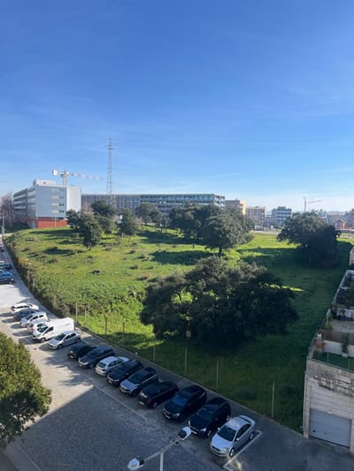 This image depicts an elevated, sunlit view of a mixed urban and natural landscape in Pedrouços, Portugal, under a clear blue sky.
In the foreground, a paved parking area made of cobblestones is visible on the left, occupied by a linear arrangement of approximately 15-20 parked vehicles of various makes and colors, including a white commercial van labeled "ROOFOPT." To the immediate right, the upper portion of a multi-story building, constructed of light-colored stone or concrete, features a gray garage door and a rooftop terrace with potted greenery and a short fence. A dark pole supporting two white streetlights extends into the lower center.
The midground is dominated by a large, irregularly shaped open green space, characterized by undulating terrain covered in bright green grass. Numerous mature trees with dense, dark green foliage are scattered throughout this area, casting distinct shadows. A wire fence separates the parking area from this green space. Two small, dark human figures are discernible within the grassy area, appearing to walk or stand: one near the center-left and another further right among the trees.
The background features a built environment. To the far left, a multi-story building with white and gray facades stands prominently, with a red and white lattice-boom construction crane positioned directly behind it. Towards the center-left, a tall, metallic electricity pylon supports multiple horizontal power lines. Across the horizon, several additional multi-story buildings of modern design are visible, along with another distant construction crane on the far right. The sky is uniformly bright blue with no visible clouds.