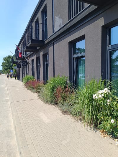 The image shows a modern building with a dark gray textured facade, featuring several large windows and balconies on the upper floor. A Latvian flag is visible hanging from one of the balconies. In front of the building, a paved sidewalk runs along a street, with a landscaped area featuring tall grasses, flowering bushes with white roses, and red-toned foliage. Two individuals are walking on the sidewalk in the distance, approaching the building. The scene is bathed in sunlight under a clear blue sky, suggesting a warm day in Pāvilosta, Latvia.