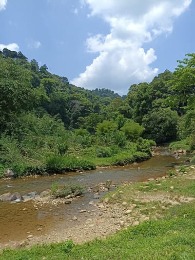 The image depicts a river flowing through a lush, green landscape in Song Phraek, Thailand. The riverbed is visible with rocks and pebbles. Dense vegetation and trees cover the slopes and surround the river. The sky is light blue with some white clouds. No people or animals are visible in the image.