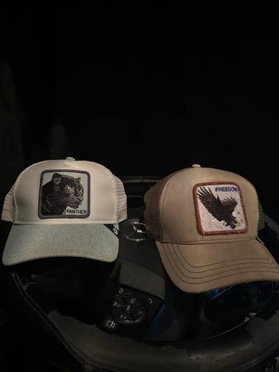 Two Goorin Bros. trucker hats are displayed on a dark surface, possibly a car interior, with the steering wheel and a control panel visible. The hat on the left is white and light blue with a patch featuring a black panther and the word "PANTHER." The hat on the right is tan with a patch depicting a brown eagle in flight and the word "FREEDOM." The lighting is dim. The location is not specified in the image or accompanying data.