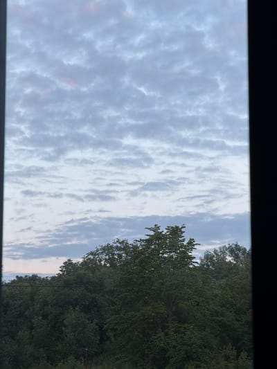 This image shows a view of trees and a cloudy sky, taken from a window in the city of Semiluki, Russia. The foreground is dominated by the dark frame of the window. Beyond the window, a dense canopy of green trees fills the lower portion of the frame. The trees are a mix of various shades of green, with some appearing fuller and taller than others. Above the treeline, the sky is filled with numerous small, scattered clouds. The clouds are a light gray and white, with hints of pink and pale orange suggesting either sunrise or sunset. A thin, dark horizontal line, possibly a wire, is visible stretched across the upper part of the treeline. The overall impression is of a natural landscape viewed from an indoor perspective.