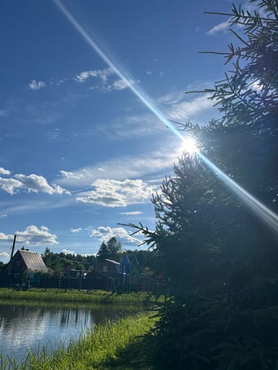 The image depicts a serene landscape in the city of Слава Снт, Russia. A body of water, likely a pond or small lake, occupies the lower left portion of the frame, reflecting the bright blue sky and scattered white clouds. Tall green grass grows along the water's edge. In the mid-ground, a dark metal fence encloses a yard with two wooden houses and a playground structure with colorful elements. Behind the fence, a dense line of trees forms the background. The upper right quadrant of the image is dominated by a large, dark green conifer tree, its branches partially obscuring the bright sun which casts a strong lens flare across the sky. The sun is positioned behind the conifer, creating a high-contrast scene. The overall atmosphere is one of a quiet, rural summer day.