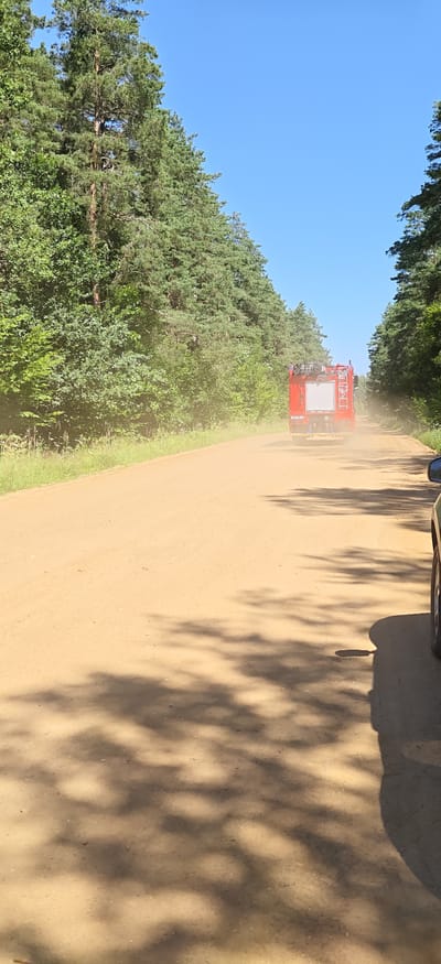 A red fire truck is driving down a dirt road, kicking up a cloud of dust. The road is lined with tall pine trees and green foliage on both sides. The sky is clear and blue. The scene appears to be in a rural area, possibly a forest, in Урэцкі сельскі Савет, Belarus. The perspective is from another vehicle, as the side and tire of a car are visible in the foreground on the right side of the image. The sun is casting dappled shadows of tree leaves across the road.