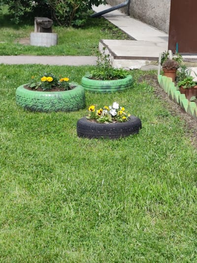 The image shows a yard with three planters made from old tires. The planters are filled with flowers and are placed on a lawn. In the background, there is a concrete walkway and a building. The overall scene suggests a residential outdoor space.