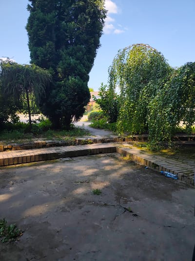 The image depicts an outdoor scene with a pathway and lush greenery. In the foreground, a concrete surface with cracks and scattered vegetation is visible. Leading away from the foreground are tiered steps constructed from bricks. Beyond the steps, a pathway winds through a garden area filled with trees and bushes.
A tall, dark green conifer stands prominently on the left side of the image, with a weeping tree with lighter green foliage arching over on the right. The trees create a sense of depth and natural beauty. The sky above is blue with scattered white clouds, suggesting a pleasant day. The sunlight casts shadows on the ground, indicating it is likely daytime, possibly late morning or early afternoon.
A blue plastic water bottle lies on its side on the brick edging near the right side of the image. In the background, buildings with reddish-brown roofs are partially visible through the trees, hinting at a residential or semi-rural setting. No people are present in the image, and no specific activity is taking place. The overall impression is one of a serene and somewhat overgrown garden area. There is no discernible text in the image. The location context provided is Czapury, Poland.