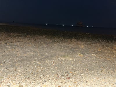 The image depicts a beach scene at night. The foreground is a sandy and pebbly beach with sparse, dry vegetation. In the background, the dark ocean stretches towards the horizon, dotted with several lights that appear to be from boats or structures on the water. One larger structure, possibly a boat or platform, is visible on the right side of the horizon. The sky is dark and cloudless, indicating a clear night. The overall mood is tranquil and slightly mysterious due to the darkness and the distant lights. No people or text are visible in the image. The setting suggests a coastal area in Legonipah, Indonesia.
