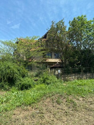 An exterior, medium shot shows an abandoned building in a wooded setting in Sofronievo, Bulgaria. The building is two stories, with a steeply pitched red-tiled roof. The facade is a pale, rough concrete or stucco. Several windows are broken or missing. The building is partially obscured by overgrown trees and bushes. A decorative metal fence partially surrounds the property. The ground slopes away from the building and is covered in a mix of green grass, weeds, and dried brown grasses. The sky is blue with wispy white clouds in the upper left corner. The photo shows a location in Sofronievo, Bulgaria.