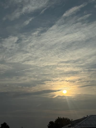 This vertical, outdoor, natural light photograph captures a wide view of the sky above a residential area. The sky is filled with a dense arrangement of clouds, varying in texture from wispy cirrus to more opaque stratus formations. Streaks of sunlight pierce through the clouds, creating a dramatic effect, with the sun appearing as a bright, yellow orb slightly to the right of the center of the frame. In the lower portion of the image, the silhouette of a roofline and tree branches are visible against the fading light, suggesting it is either sunrise or sunset. The image appears to be taken from a higher vantage point, looking upwards. The overall scene is calm and serene, with no people or active events depicted. The location is identified as Timiryazevskoe, Russia.