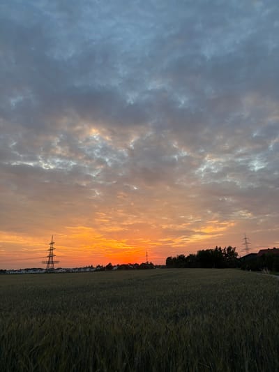 The image captures a scenic rural landscape in Poing, Germany, during a sunset. The scene is dominated by a dramatic sky transitioning from soft gray clouds on the left to vibrant orange and yellow hues on the right, indicating the sun is setting or has just set. Wispy clouds are scattered across the sky, catching the warm light of the sunset.
In the foreground, a vast field of tall, green crops, likely wheat or barley, stretches out, filling the right side of the frame. The crops appear dense and healthy. Silhouetted against the colorful sky, along the horizon, is a line of trees and buildings, suggesting a nearby residential area or small town. Two tall electricity pylons are visible; one is prominently featured in the mid-ground, and another, smaller one, is further in the distance. The presence of these pylons and the houses indicates a rural setting with infrastructure.
The time of day is clearly sunset due to the colors in the sky. The weather appears clear, with the clouds serving to enhance the sunset's beauty. The overall mood evoked is one of tranquility and natural beauty, with the vibrant colors of the sunset creating a warm and peaceful atmosphere. There is no visible text in the image.