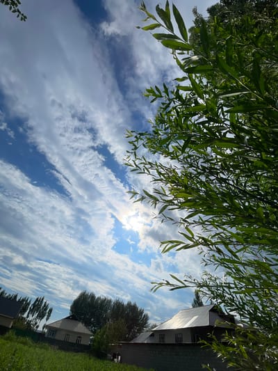 In the city of Кызыл-Тоо, Kyrgyzstan, a low-angle shot captures a scene dominated by a dynamic sky and lush greenery. The sky is a vibrant blue, streaked with long, wispy white clouds that create a sense of movement. The sun is partially obscured by clouds, casting a bright, diffused light that illuminates parts of the sky. In the foreground, the branches and leaves of a tree, likely a willow given their shape, fill the right side of the frame, their green foliage contrasting with the blue sky.

Below the sky, the upper portions of several houses are visible, nestled amongst trees. One house in the mid-ground has a light-colored facade and a prominent, corrugated metal roof that reflects the sunlight. A dark green hedge or fence runs along the front of some of the properties, and a brick wall is also visible. The ground in the lower left is covered with green grass. A single, dark-clothed figure can be seen standing near the brick wall, adding a human element to the scene. The overall impression is one of a serene, rural or semi-rural landscape under a dramatic sky.