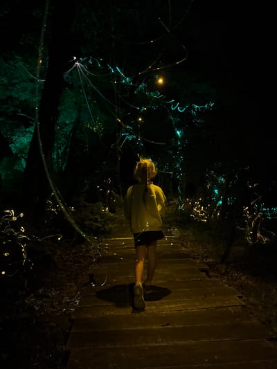 In Bukovik, Montenegro, a nighttime scene depicts a single individual walking on a dark wooden plank path that recedes into a densely wooded environment. The subject, a female observed from behind, wears a light-colored long-sleeved top, dark shorts, and light-colored athletic shoes, with her light-colored braided hair visible over her left shoulder. She is positioned slightly to the right of the central axis, in the process of stepping forward. The surrounding forest is predominantly dark, illuminated by numerous artificial lights. These lights include warm yellow/orange points and strands, and distinct blue/green glows that highlight foliage and create abstract forms. A larger, circular yellow light source is visible in the upper right. On the far left, a strong green illumination casts light upon a section of trees. The path and environment suggest a decorated trail or an outdoor light installation.
