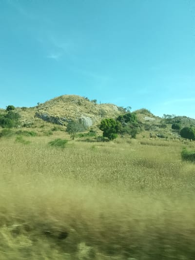 The image displays a dry, rural landscape in Jibilik, Nigeria, captured under a clear, bright blue sky with a faint wispy cloud in the upper left quadrant. A rounded hill, predominantly covered in golden-brown, desiccated grasses and interspersed with scattered green trees and shrubs, occupies the midground. Exposed grey rock faces are visible on the hill's lower slopes, particularly on the left. The foreground is dominated by a blurred field of golden-brown vegetation, indicative of dry grass or crops, with the blur suggesting the photograph was taken from a moving vehicle. No human figures, animals, or man-made structures are present within the scene.