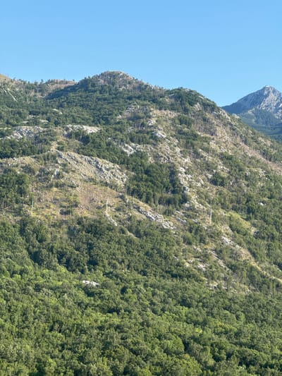 The image shows a view of a mountainous landscape covered in dense green trees, with rocky outcrops and some sparser vegetation higher up. The sky is clear and blue. In the distance, a more rugged, rocky peak is visible. The scene appears to be a natural environment, likely in a rural or mountainous area. There are no people or specific structures immediately identifiable in the image that would pinpoint a specific urban location. The overall impression is one of a vast, natural landscape.