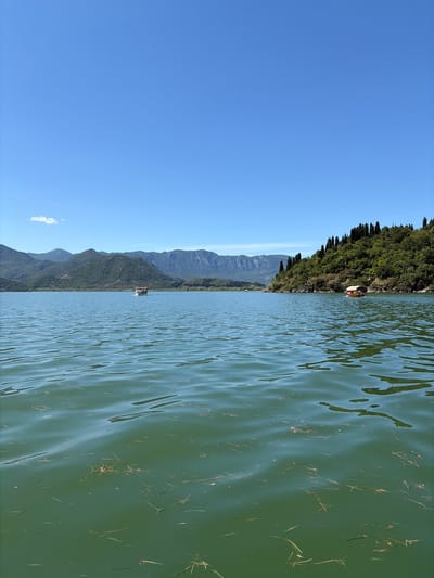 The image depicts a panoramic view of a large body of water, likely a lake or wide river, in the vicinity of Kruševica, Montenegro, under a brilliant, clear blue sky with a solitary wispy white cloud visible in the upper left. A long range of verdant, tree-covered mountains forms the backdrop, stretching across the horizon from left to right, with closer, more sharply defined peaks on the left and a prominent, heavily forested hillside on the right bank, densely populated with tall, dark green coniferous trees. The water in the foreground and midground is a deep greenish-blue, displaying numerous ripples and small waves, and is extensively covered with scattered strands of floating brown and green aquatic vegetation. Two small motorized tour boats are present: one light-colored boat with a red canopy is visible in the mid-distance on the left, moving across the water with several occupants; another similar boat, featuring a beige or yellow canopy, is positioned closer to the right bank, also carrying multiple passengers. The scene is bathed in bright sunlight, indicative of a clear, sunny day.