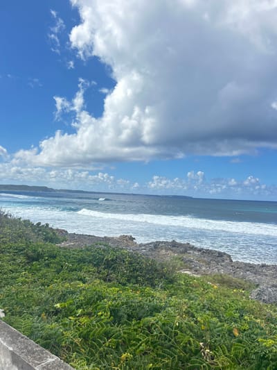 An elevated view captures a coastal scene in Le Moule, France. The upper portion of the frame features a bright blue sky with extensive white cumulus cloud formations, denser on the right, progressively scattered towards the left. The mid-ground is dominated by the ocean, exhibiting varying shades of blue and turquoise, with multiple lines of white-capped waves breaking towards the shore. Numerous small, dark figures, consistent with surfers or swimmers, are visible in the water, positioned between the breaking waves in the middle distance. One figure appears to be wearing a prominent red or pink garment or is on a similarly colored board. The foreground consists of a rugged, rocky shoreline covered densely with low-lying green vegetation. A gray concrete ledge or barrier occupies the bottom left corner of the image. A distant landmass or headland is faintly visible along the horizon on the far left.