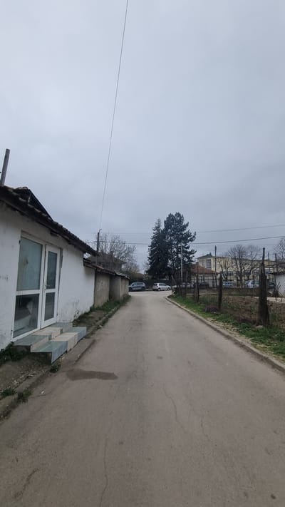 The image displays a paved street scene in Dolni Chiflik, Bulgaria, observed under an overcast sky. The street runs from the foreground towards the background, curving slightly to the right in the distance.
On the left side of the street, a white, single-story building with a dark, weathered roofline occupies the immediate foreground. Its facade features a prominent white door composed of two large glass panels, accessible via three steps constructed from alternating light blue/grey and darker square tiles. Green vegetation grows at the base of the building. A thin, dark utility pole or pipe rises vertically near the left edge of the frame, adjacent to the building's roof. Faint, dark graffiti, including the partially visible word "OMEHA," is present on the lower portion of the building's wall to the right of the door. A thin, dark utility cable or wire extends diagonally across the sky from the upper left towards the mid-right.
Further along the left side of the street, a low, concrete or stucco wall with weathered sections extends towards the background. Beyond this wall, several bare deciduous trees are visible.
On the right side of the street, a rudimentary fence made of wooden posts and wire mesh borders an area of unkempt ground with sparse vegetation. Beyond this fence, several vehicles are parked; a dark grey SUV is visible first, followed by a white compact car, and another white vehicle partially visible further down the street. A large, dark green coniferous tree stands prominently in the midground, partially obscuring a multi-story building with a light-colored facade and visible windows in the background. Other buildings and bare trees are also visible in the distant background.
The asphalt street surface exhibits cracks and wear, with a small, irregular dark patch (possibly dampness or a stain) in the foreground. No individuals or active interactions are present in the scene.