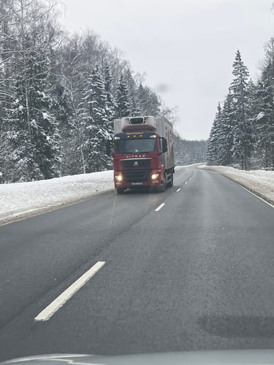 The image captures a winter road scene, specified as being in Butyrki, Russia. An overcast sky casts a muted light over the environment. A red SITRAK brand tractor-trailer truck, featuring a white refrigerated unit on its trailer, is prominently positioned in the center, traveling towards the viewer. Its headlights and fog lights are active, and a plume of exhaust is visible above the cab. A Russian license plate is affixed to the truck's front bumper. The two-lane asphalt road appears dark and damp, marked with white dashed lines separating the lanes and a solid white line defining the right shoulder. Substantial snow banks line both edges of the road. The surrounding landscape consists of a dense forest with snow-laden evergreen trees and bare deciduous trees, extending into the background where the road gently curves to the right. The perspective suggests the photograph was taken from inside another vehicle, with a portion of its interior visible at the bottom edge of the frame.