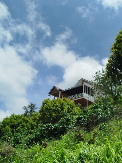 This is a low-angle, medium shot of a multi-level building situated on a densely vegetated hillside under a partly cloudy blue sky. The building, constructed with white and brown elements, features multiple balconies with railing details. Lush green trees and tall grasses surround the structure, with the foliage obscuring much of the lower levels. The sky is a bright blue with scattered white clouds, and the scene appears to be set in a natural, possibly rural, environment within Xuân Sơn, Vietnam. There are no people or discernible actions captured in this image.