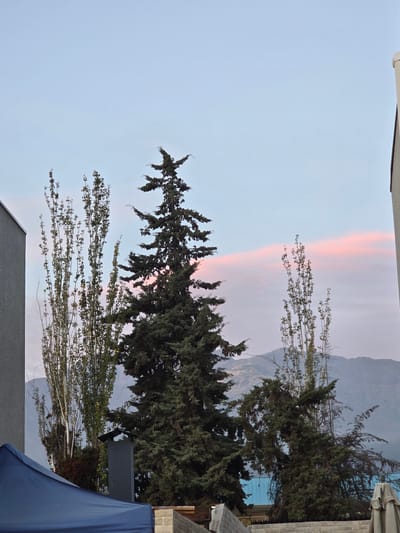 The image presents a view in La Florida, Chile. In the foreground, the tops of buildings with gray surfaces are visible. Above them, several trees are prominent: one is tall with a classic conifer shape and another with sparse leaves on elongated branches. The trees are positioned against a sky that fades from light blue to pinkish-red near the horizon. In the background, a mountain range is faintly visible. A blue sheet or tarp is partially visible at the bottom right.