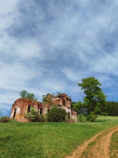 The image depicts the dilapidated brick ruins of a building, possibly a church, in Крынды, Russia. The structure is overgrown with vegetation, including trees and bushes sprouting from the roof and around the walls. The building is situated on a grassy hill, with a dirt path leading up to it. A tree stands to the right of the ruins, and a forest is visible in the background. The sky is blue with scattered clouds.
