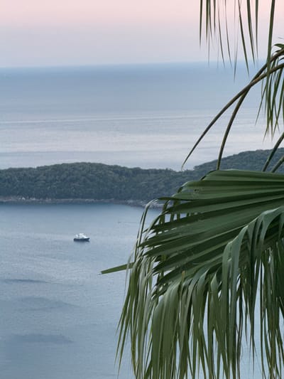 An elevated view shows a calm, pale blue sea meeting a hazy, pinkish-grey sky at the horizon. In the middle ground, a dense, green, tree-covered island juts out into the water. A small, white boat with a dark hull is positioned on the water to the left of the island. In the foreground, a large, green palm frond with long, slender leaves dominates the right side of the frame, partially obscuring the view of the sea and island. The overall impression is serene and tropical.