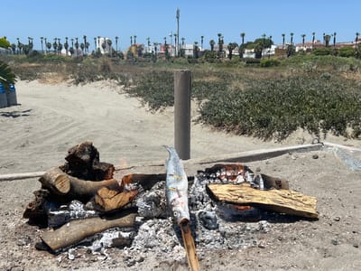 The image depicts a beach scene in San Roque, Spain, under a clear, bright blue sky, suggesting it is midday. The foreground features a small, informal barbecue pit with burning logs and white ash. A whole fish, impaled on a wooden skewer, is positioned over the embers, indicating that it is being grilled. To the left of the fire pit, a pile of raw firewood is stacked.
In the midground, a single, thick, weathered wooden post stands upright in the sandy terrain. Beyond this, a strip of dry, scrubby vegetation borders a sandy area.
The background reveals a distinct coastal landscape with a line of palm trees interspersed with buildings. The architecture appears to be a mix of white, multi-story structures and some with colored facades, possibly residential or hotel buildings. A tall telecommunications tower is visible among the trees and buildings. The overall impression is a relaxed, outdoor setting, likely a recreational area on a sunny day. No people are visible in the image.